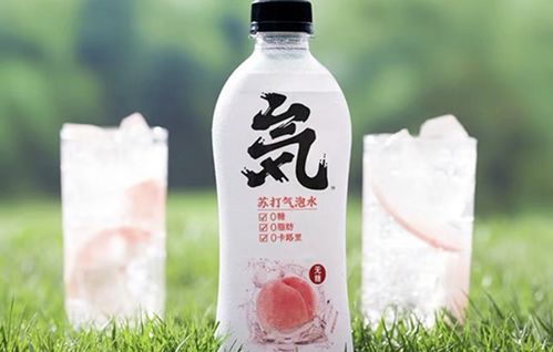 元气森林私域体系 普通商家在微信做生意的借鉴之道——以正餐、饮料与餐饮服务为例